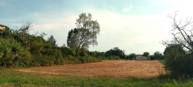 CASA DI CAMPAGNA immersa NEL VERDE con 6.200 mq. di TERRENO AGRICOLO - Foto 8