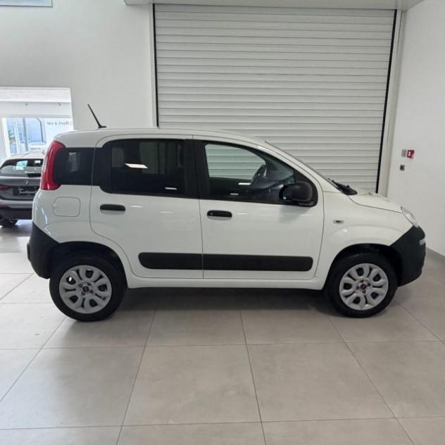 FIAT Panda 0.9 TwinAir Turbo S&S 4x4 Pop Van 2 posti rif. 23940856 - Foto 7