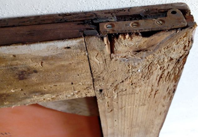 Specchio Antico RESTAURATO da Armadio Italiano ,fine tardo 1800 in legno Abete. - Foto 7