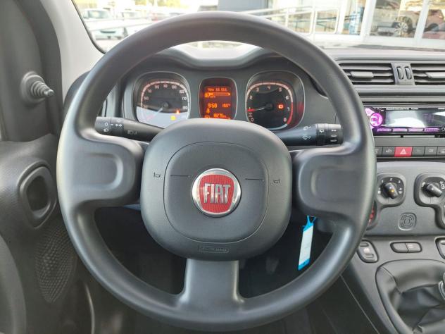 FIAT Panda Panda 1.0 firefly hybrid s&s 70cv - Foto 10