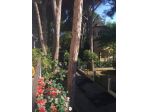 Appartamento in affitto a Cervia, Milano Marittima