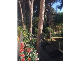 Appartamento in affitto a Cervia, Milano Marittima