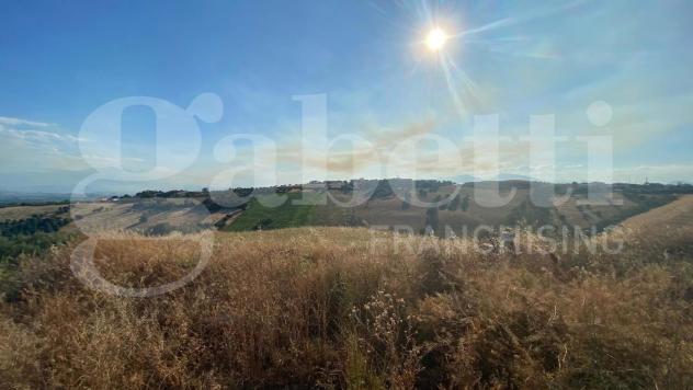 Terreno Agricolo - Roseto degli Abruzzi . Rif.: Cod. rif A132VRG