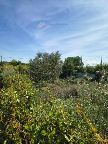 Terreno Agricolo - San Giovanni in Marignano . Rif.: Terrasgm10 - Foto 15