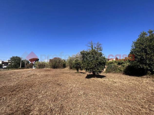 Terreno Agricolo - Terracina . Rif.: Cod. rif 3164267VRG - Foto 5
