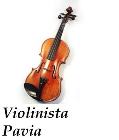 Violinista