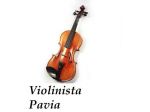 Violinista