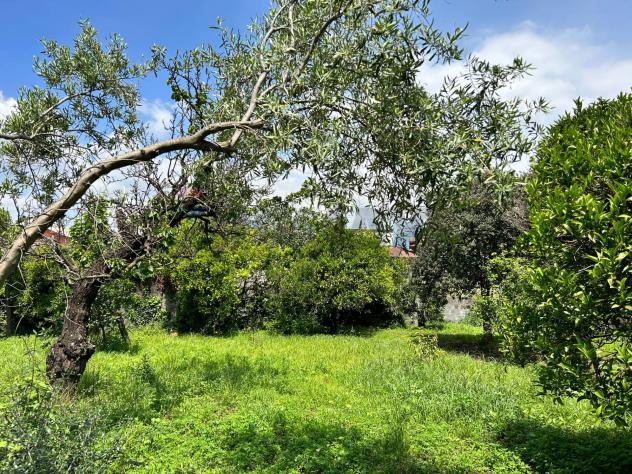 Terreno in vendita a Aci Sant'Antonio - Foto 8