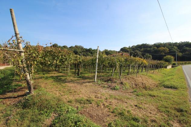 Terreno edificabile in vendita a Gambellara - Foto 3