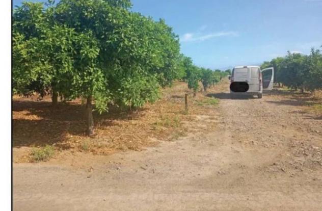Immobile in asta di 8407 m² in vendita a Palagonia - Foto 4