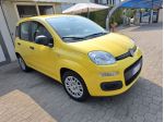 Pandina hybrid km 6100