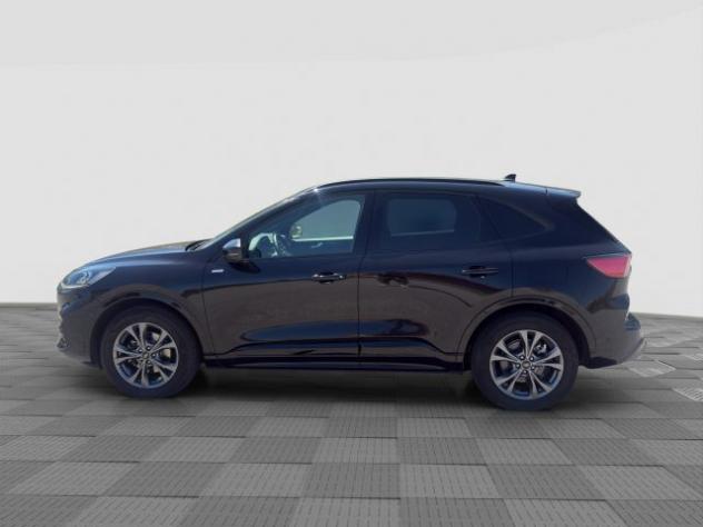 FORD Kuga Kuga 2.0 EcoBlue 120CV aut. AWD ST-Line X rif. 23886556 - Foto 2