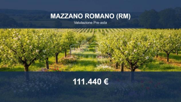 Immobile in asta di 41390 m² in vendita a Mazzano Romano
