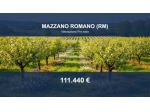 Immobile in asta di 41390 m² in vendita a Mazzano Romano