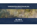 Immobile in asta di 147105 m² in vendita a Terranuova Bracciolini