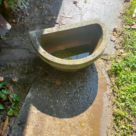 lavabo, porta piante - Foto 3