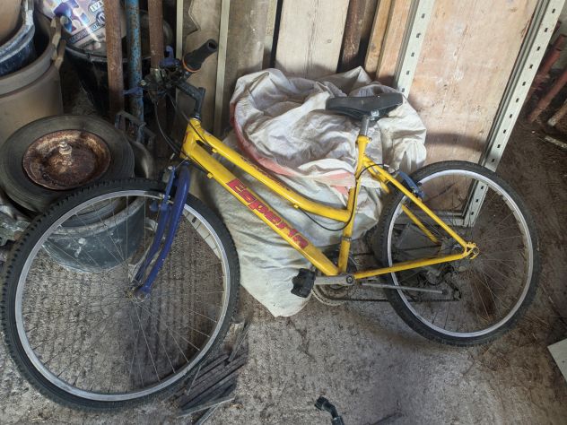 Bici Esperia