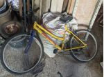 Bici Esperia
