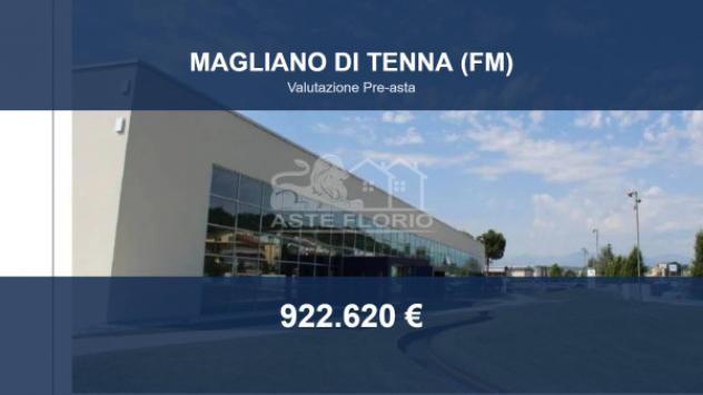 Immobile in asta di 5776 m² in vendita a Magliano di Tenna