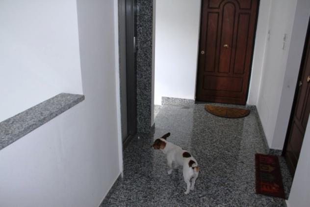 Orvieto (La Svolta) - Vendesi appartamento arredato con balcone e ascensore. - Foto 9