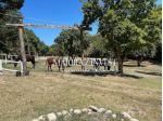 Azienda Agricola in vendita a Cupra Marittima