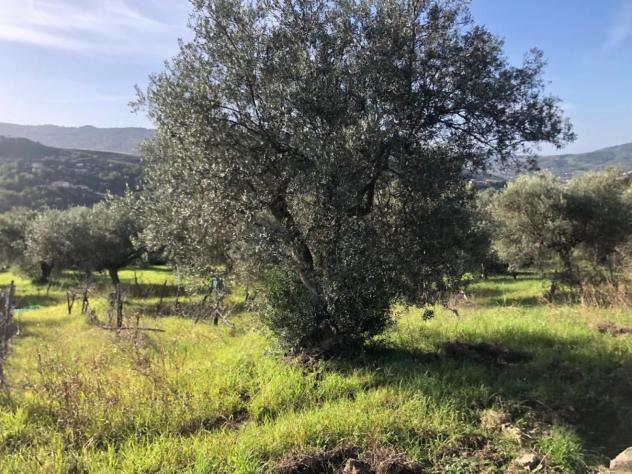 Agricolo in Destre