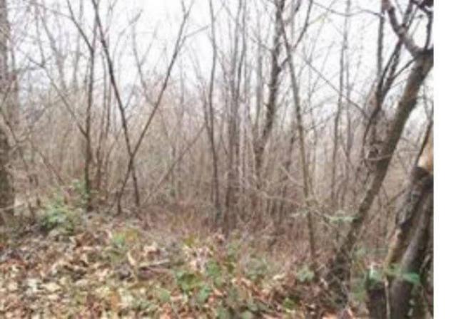 Immobile in asta di 244890 m² in vendita a Attimis - Foto 7