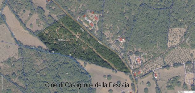 Terreno agricolo su strada comunale per Vetulonia (Castiglione della Pescaia) - Foto 2