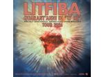 Biglietto concerto Litfiba Firenze 23 luglio