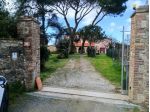 Colonica in vendita a San Pietro In Palazzi - Cecina 265 mq  Rif: 1399876