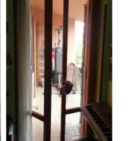 Immobile in asta di 163 m² in vendita a Nettuno - Foto 15