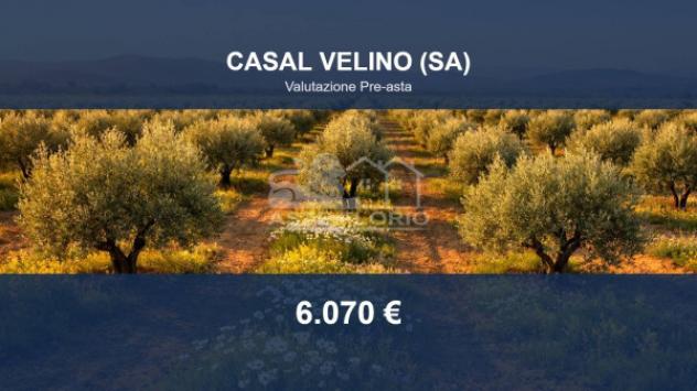 Immobile in asta di 3001 m² in vendita a Casal Velino