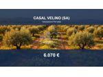 Immobile in asta di 3001 m² in vendita a Casal Velino