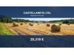 Immobile in asta di 47814 m² in vendita a Castellaneta