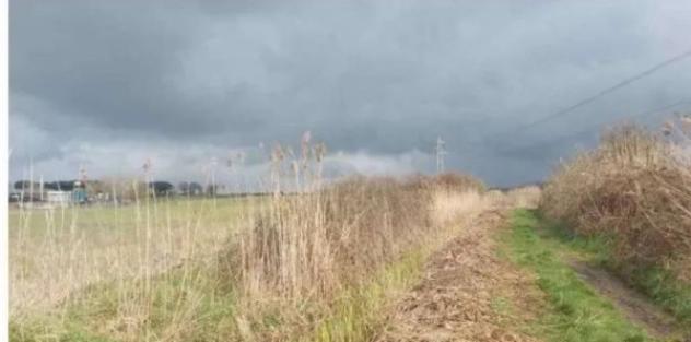 Immobile in asta di 30045 m² in vendita a Viterbo - Foto 8