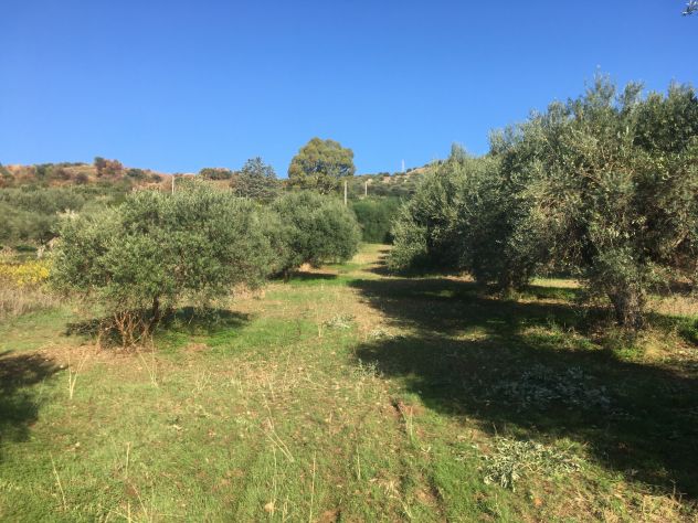 Casteldaccia - CA101 - Terreno in Verde Agricolo - Foto 2