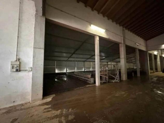 Immobile in asta di 40655 m² in vendita a Morgano - Foto 14