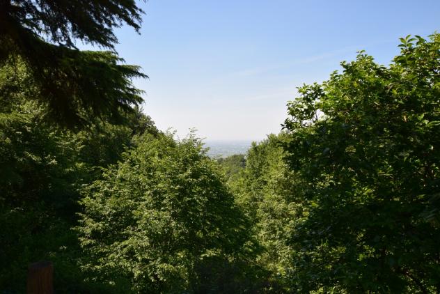 VILLA di 14 vani e di 880 mq (MASER) rif. DG034AB - Foto 12