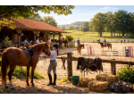 Agriturismo in vendita a Perignano - Casciana Terme Lari 50000 mq  Rif: 1402932
