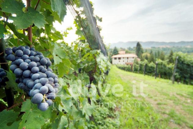 Rustico / Casale di 11000 m² con più di 5 locali e box auto in vendita a Sorisole - Foto 2