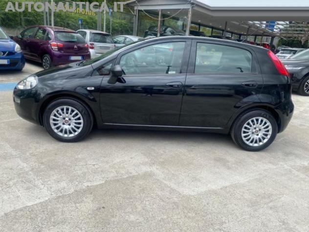 FIAT Punto 1.2 8V 5 PORTE STREET 69cv rif. 23685060 - Foto 2