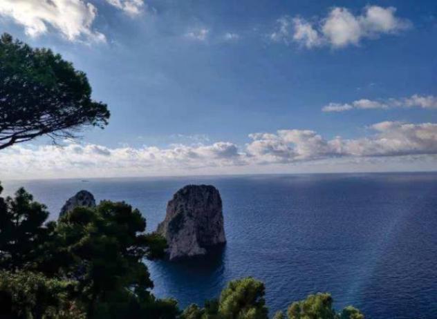 Immobile in asta di 404 m² con più di 5 locali in vendita a Capri - Foto 8