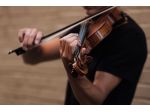 Organista e violinista a Bergamo e Dalmine
