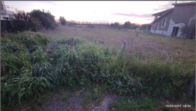 Immobile in asta di 1363 m² in vendita a Fiumicino - Foto 6