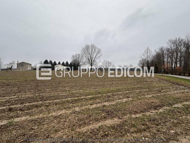 Terreno di 35262 mq in vendita a Morgano - Rif. 4554125 - Foto 2