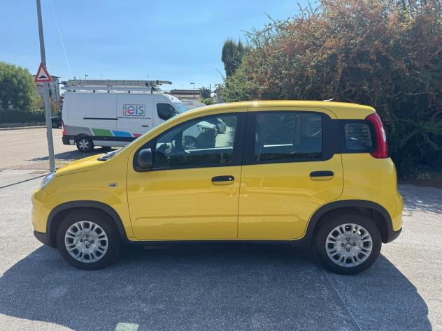 Fiat Panda 1.0 FireFly S&S Hybrid Pandina- 1.516 KM 2024 - Foto 7