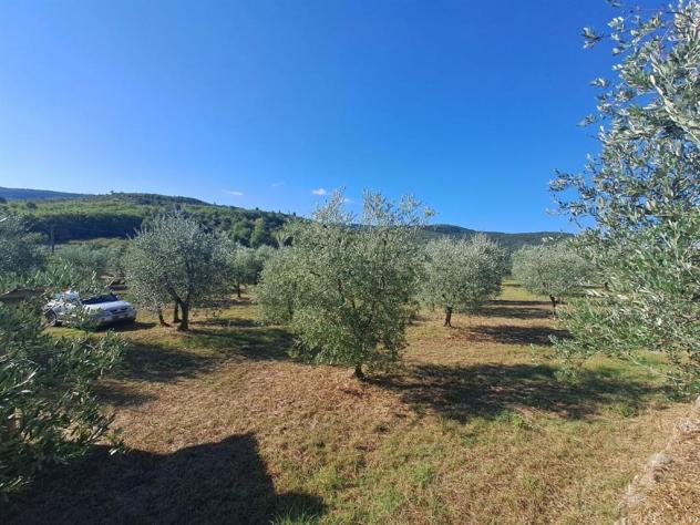 Valdambra - Annesso in Muratura con Terreno e Uliveto - Rif. C10 - Foto 13