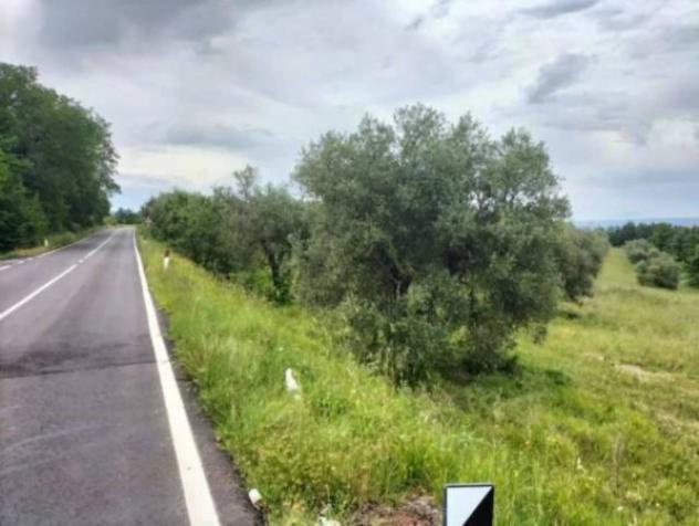 Immobile in asta di 23396 m² in vendita a Ficulle - Foto 4