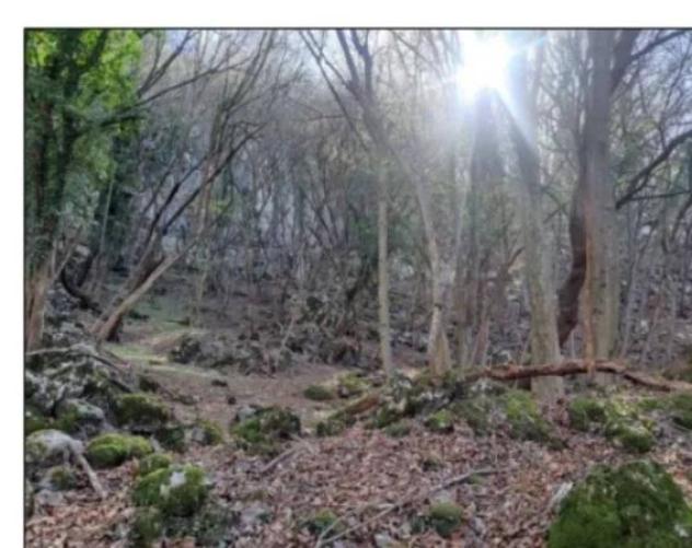 Immobile in asta di 6903 m² in vendita a Rovereto - Foto 8