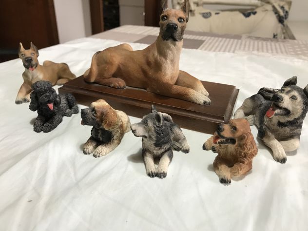COLLEZIONE CANI - Foto 4